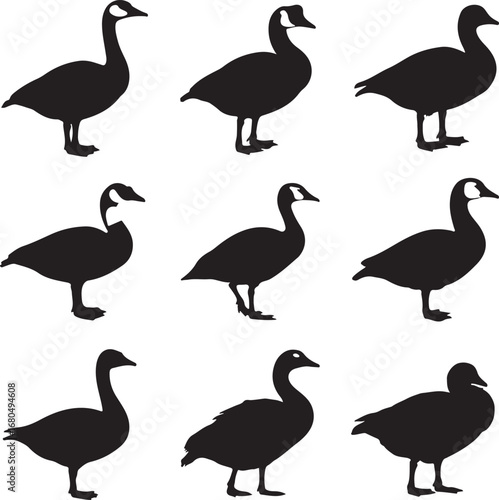Canadian geese silhouettes standing goose black