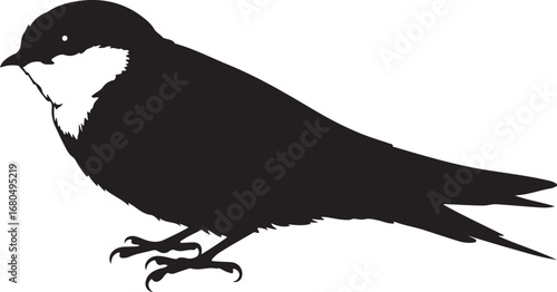 Black bird silhouette with white chest avian