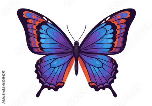 A vibrant butterfly displays symmetrical wings with blue purple and orange hues on a white background