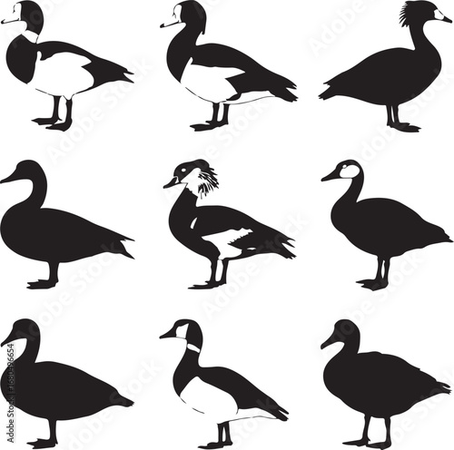 Black white geese silhouettes birds