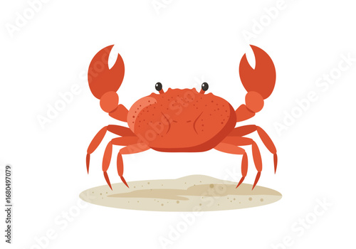 Orange crab with raised claws on beige sand against a white background