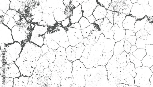 Cracked earth texture with dark lines and speckles ground