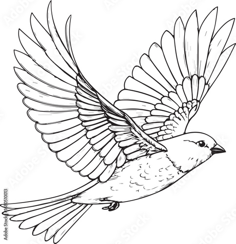 Detailed black and white drawing of a sparrow in flight