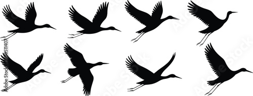 Bird silhouette set, flying bird vector illustration, wildlife graphic design, migratory bird art collection, black and white style, wings in various flight positions