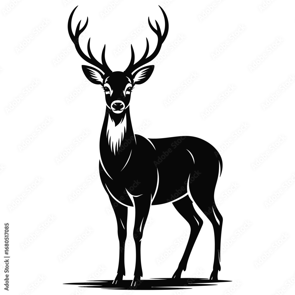 Fototapeta premium silhouette of a deer