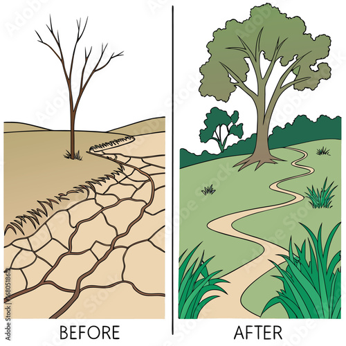 From Drought to Abundance: This striking illustration depicts the transformative power of environmental conservation and revitalization.
