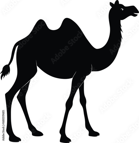 Silhouette of a Dromedary Camel Standing Profile View Isolated on White Background