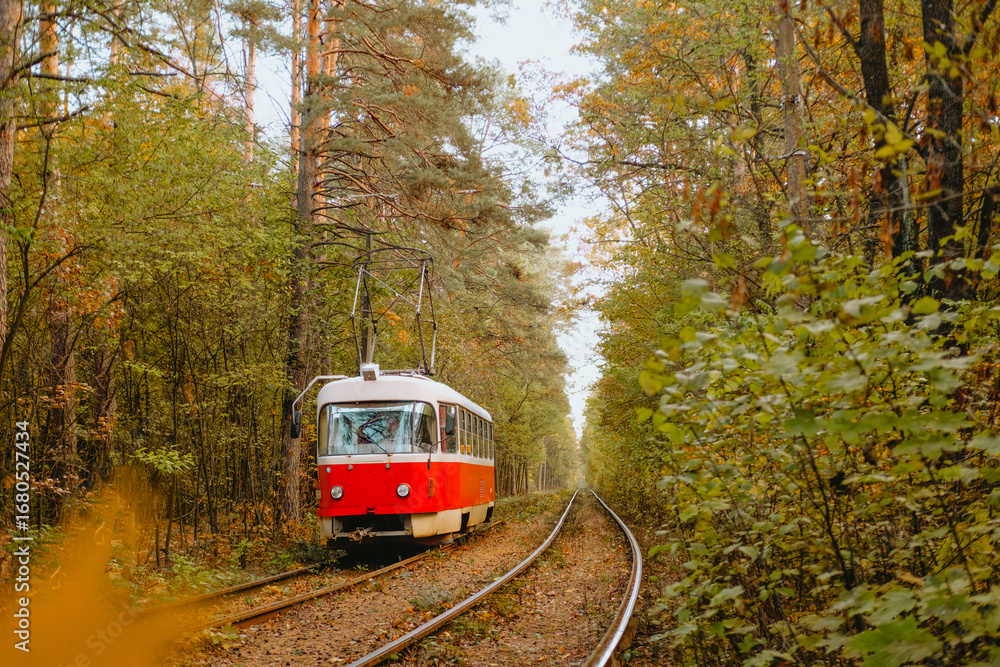 Naklejka premium Red tram travels through serene forested railway in early morning light