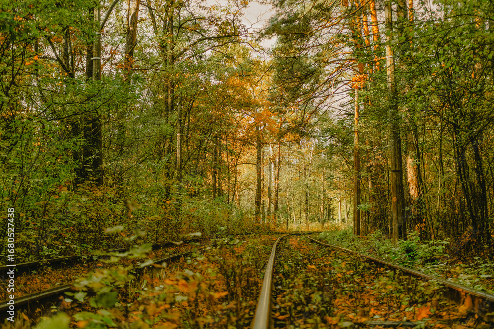 Fototapeta premium Abandoned railway track through lush forest in autumn