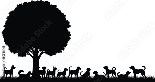 Silhouette of Dogs Under a Tree with Leash Walking and Sitting on Grass in Outdoor Pet Friendly Environment