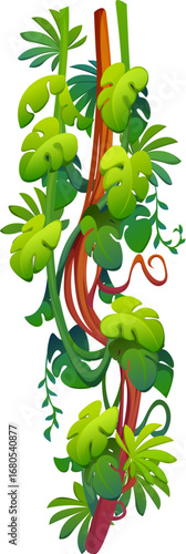 Vertical tropical jungle rain forest liana vine branch and leaves. Cartoon vector hanging tree exotic plant thicket, rainforest climbing roots. Amazon or African nature, green foliage climber spinney