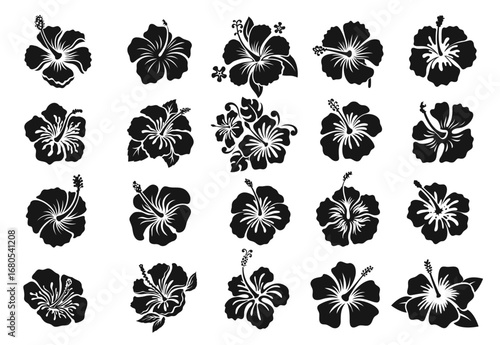 Hawaii hibiscus black stencil set, tropical flowers silhouettes, decals or tattoos. Isolated vector monochrome Hawaiian and Polynesian vegetation blooms, floral elements of nature, culture and beauty
