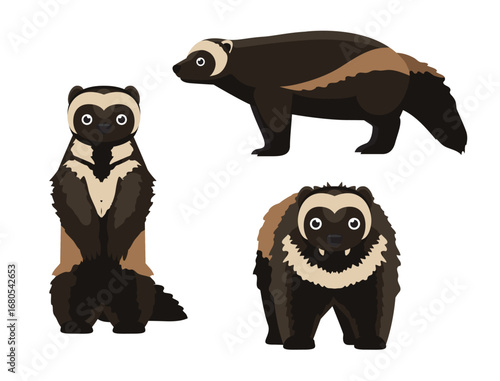 Wolverine Cartoon Poses Character Vector