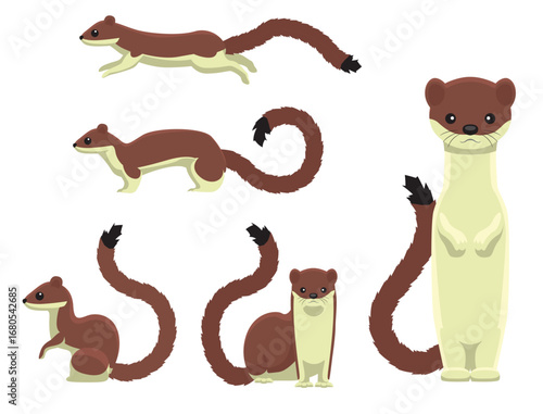 Long-Tailed Weasel Cartoon Poses Character Vector