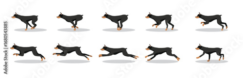 Dobermann Dog Running Side Cartoon Animation Frame Vector
