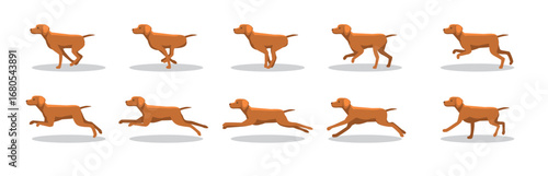 Vizsla Dog Running Side Cartoon Animation Frame Vector