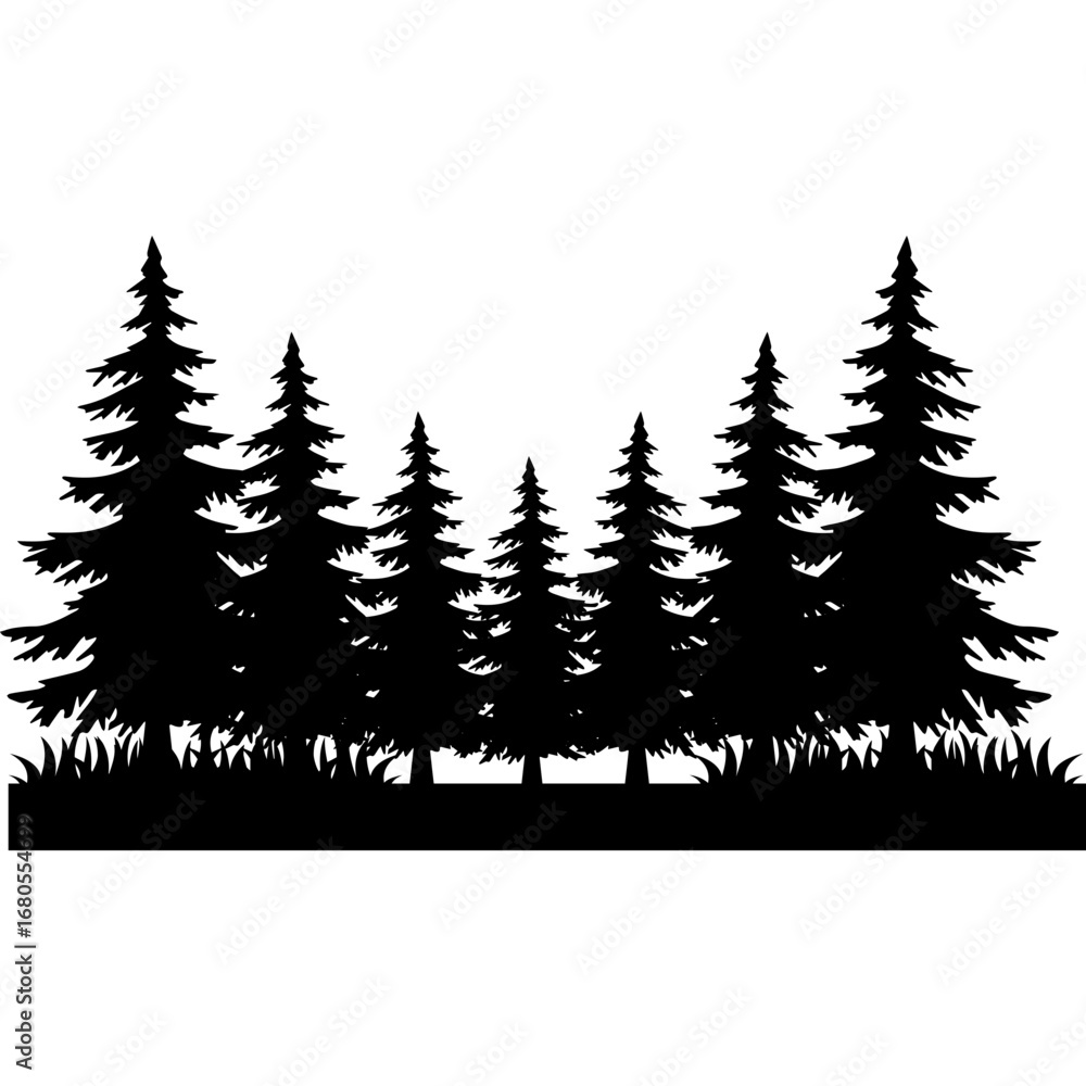 Fototapeta premium Pine Tree Silhouette