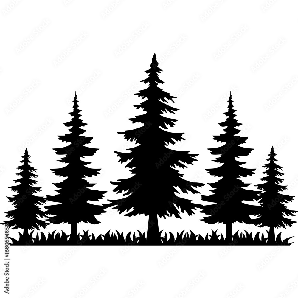 Obraz premium Pine Tree Silhouette