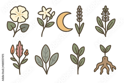 Botanical Moon Magic. Flat vector mini-illustrations new moon botanical in colors children's illustrations: moonflowers,