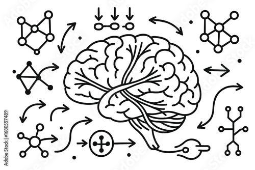 Brain Connectivity Diagram. Hand-drawn doodle illustration white matter and brain connectivity brain nodes, white matter tracts,