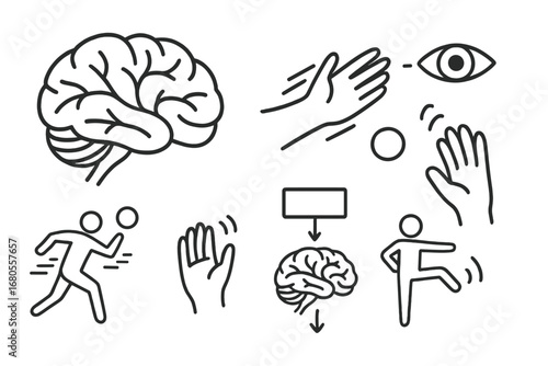 Cerebellum Coordination Doodle. Hand-drawn doodle illustration cerebellum in motion hand movement, eye-hand coordination icon,