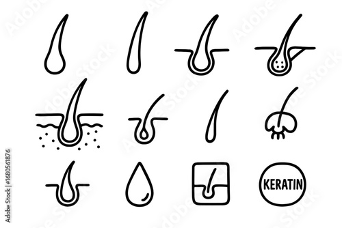 Hair Follicle Diagram. Hand-drawn doodle illustration hair follicles hair follicle, hair shaft, root bulb, sebaceous gland, dermis