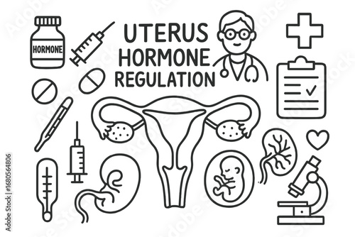 Hormone Regulation Doodles. Hand-drawn doodle illustration uterus hormone regulation hormone vial, uterus, ovaries, fallopian