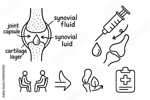 Joint Health Icons. Hand-drawn doodle illustration synovial fluid joint capsule, synovial membrane, fluid drop, lubricant icon,