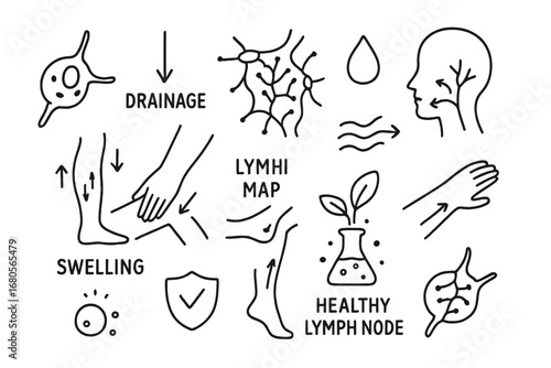 Lymphatic Flow Diagram. Hand-drawn doodle illustration lymphatic drainage lymph node, drainage arrow, lymphatic map, fluid icon,
