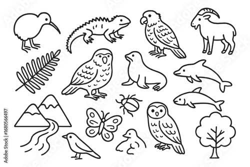 New Zealand Wildlife Doodles. Hand-drawn doodle illustration New Zealander wildlife kiwi bird, tuatara lizard, kakapo, kea parrot,