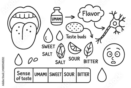 Taste Sensation Doodles. Hand-drawn doodle illustration taste sensation tongue, taste buds, electric signal, neuron, brain