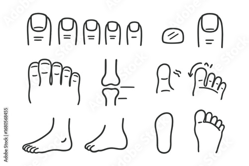 Toe Anatomy Doodle. Hand-drawn doodle illustration toes big toe, second toe, third toe, fourth toe, pinky toe, toenail, toe joint,