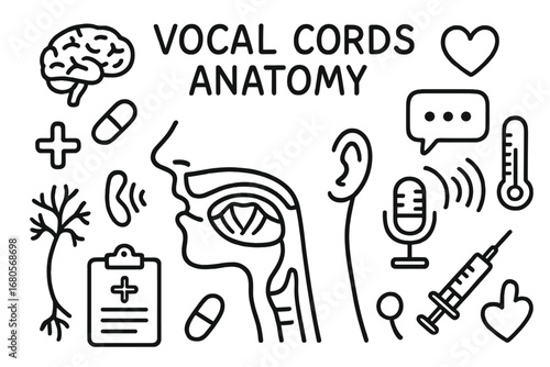 Vocal Anatomy Icons. Hand-drawn doodle illustration vocal cords anatomy vocal cords, larynx, throat, mouth, sound waves,