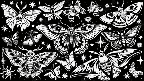 Intricate black and white moth and butterfly illustration with celestial elements