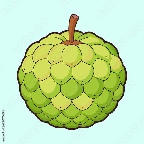 Illustration of a ripe green Sugar Apple also known as Sweetsop
