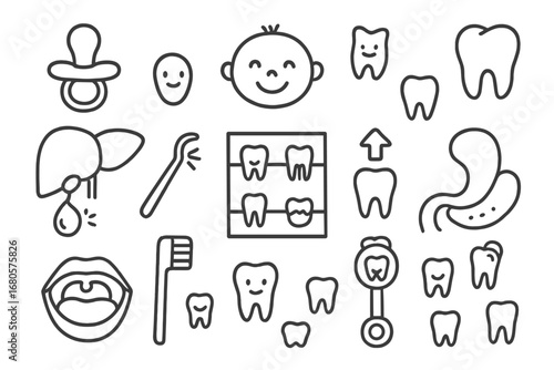 Biliary System Doodles. Hand-drawn doodle illustration biliary system gallbladder, liver, bile duct, common bile duct, pancreas,