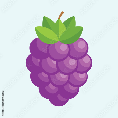 Stylized cartoon illustration of a purple grape cluster with green leaves