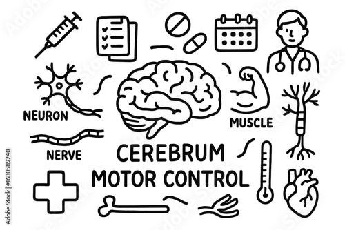 Brain and Health Icons. Hand-drawn doodle illustration cerebrum motor control cerebrum, brain, muscle, nerve, neuron, syringe,