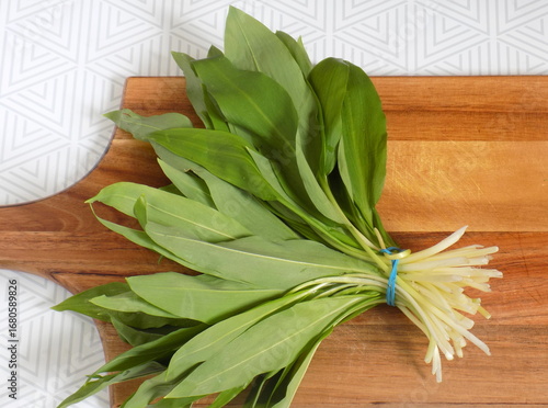 Allium ursinum. Wild garlic onion leaves.