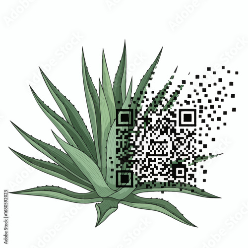 Agave Plant with Disintegrating QR Code Digital and Natural Fusion