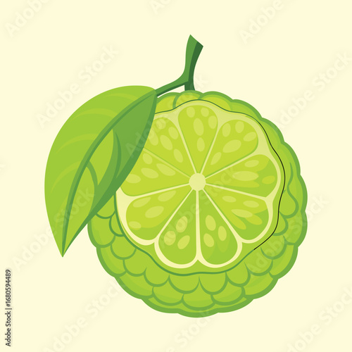 Beautiful illustration of a green bergamot citrus fruit with a leaf