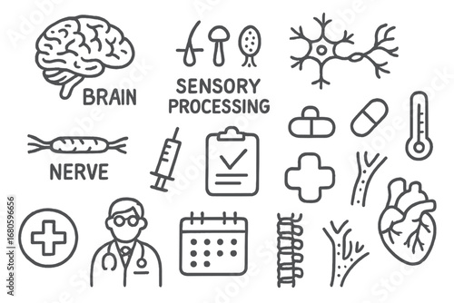 Brain and Sensory Icons. Hand-drawn doodle illustration gray matter sensory processing gray matter, brain, sensory receptors,