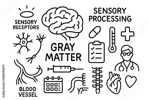 Brain and Sensory Icons. Hand-drawn doodle illustration gray matter sensory processing gray matter, brain, sensory receptors,