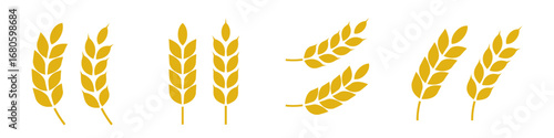 Gold wheat silhouette collection. Wheat or rice icon symbol vector illustration and png transparent