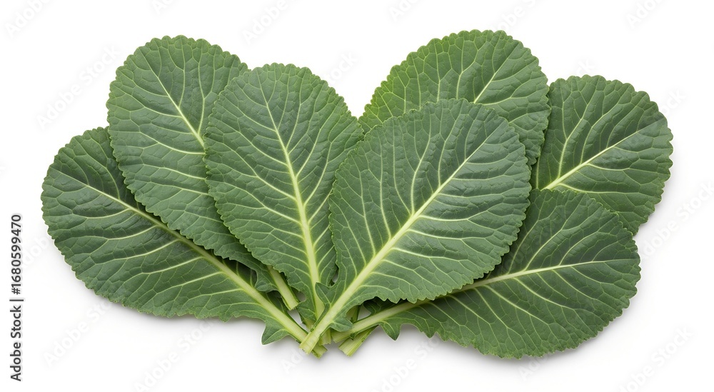Obraz premium Fresh green collard greens leaves arranged neatly on a clean white background, showcasing their vibrant color and natural texture.