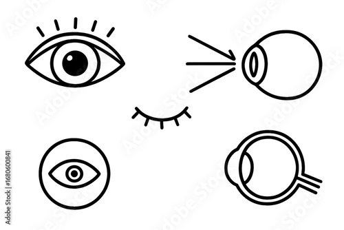 Eye Anatomy Doodles. Hand-drawn doodle illustration eye and iris eye, iris, pupil, eyelid, eyelashes, light beam, blinking icon,