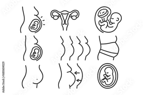 Pregnancy Doodle Icons. Hand-drawn doodle illustration abdomen in pregnancy baby bump, uterus icon, fetus outline, placenta symbol