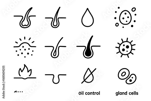 Skincare Anatomy Doodle. Hand-drawn doodle illustration sebaceous glands and follicles sebaceous gland, hair follicle, oil droplet