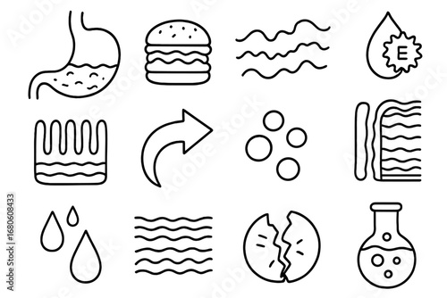 Stomach Digestion Doodle. Hand-drawn doodle illustration stomach and digestion stomach, food icon, acid wave, enzyme symbol,