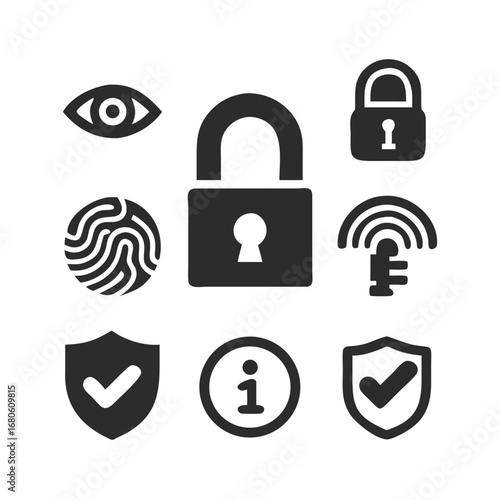 Glyph icons. Shield with check mark, lock, key, fingerprint, masked face (anonymity), encryption (closed lock), eye (surveillance), antivirus, secure connection (lock next to link).
